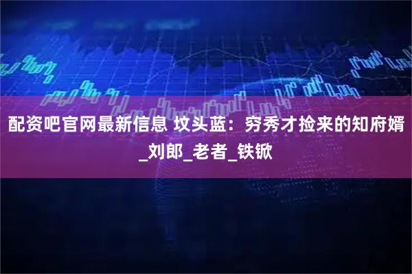 配资吧官网最新信息 坟头蓝：穷秀才捡来的知府婿_刘郎_老者_铁锨